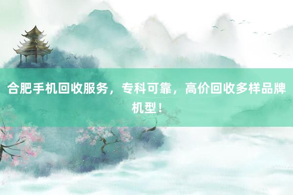 合肥手机回收服务，专科可靠，高价回收多样品牌机型！