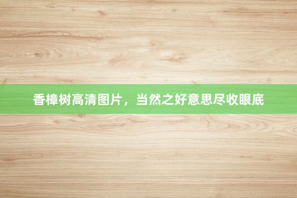 香樟树高清图片，当然之好意思尽收眼底